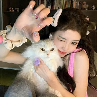 糊涂舰长